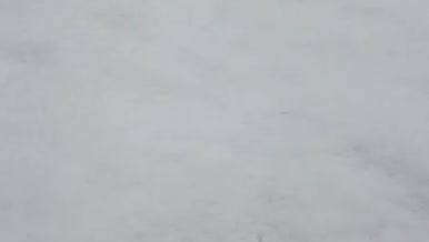 下雪的小区福字红灯楼雪花积雪视频的预览图
